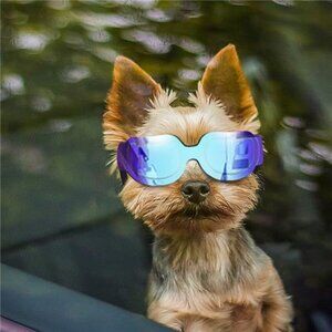 Dog Sunglasses Small Dog Goggles Anti-UV Doggy Glasses for Small Dogs Big Cats
